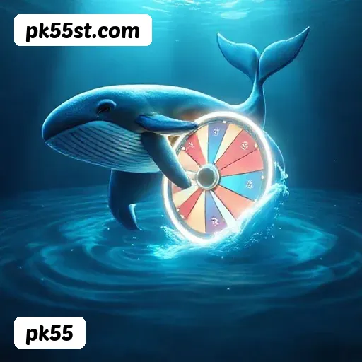 Níveis do programa VIP da pk55